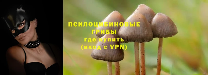 Купить наркотики сайты Весьегонск ГАШИШ  Альфа ПВП  Лсд 25  МЕФ  Псилоцибиновые грибы 